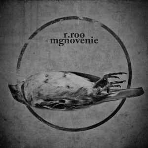 R.roo - Mgnovenie
