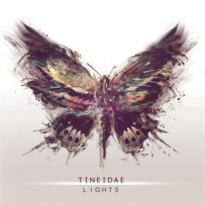 Ttineidae - Lights